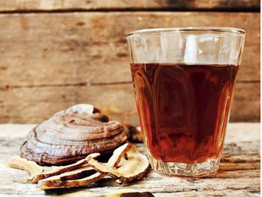 Mushroom Tea – History, Benefits, Recipes and more