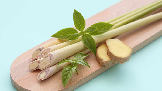 Lemongrass Tea - Benefits, Uses, and Recipes