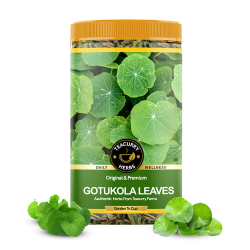 Gotu Kola -  Leaves