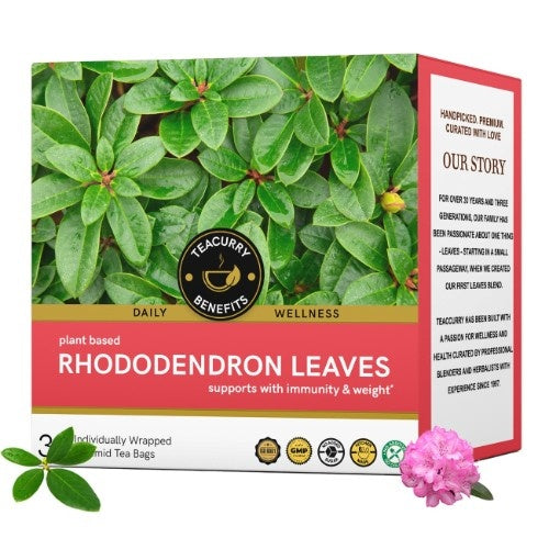 Buy Rhododendron Leaf Tea - Help with Coughs, Colds, Digestive Issues, and Stress 2 Months Pack