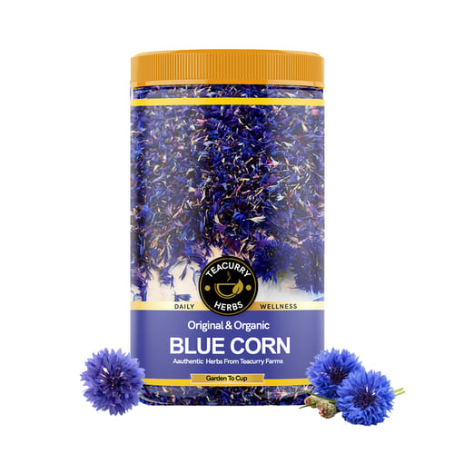 Teacurry Organic Blue Cornflower Main Image