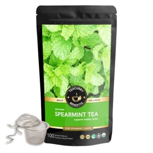 Teacurry Spearmint tea pouch with infuser