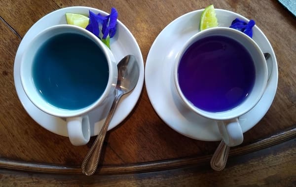 5 Best Blue Butterfly Teas in India