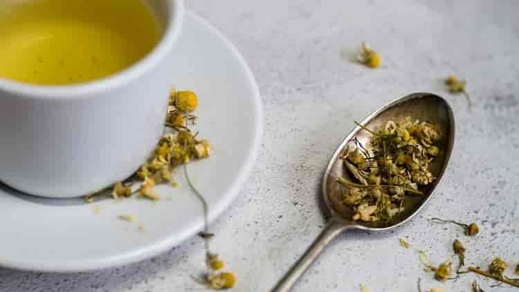 5 Best Chamomile Green Teas in India as in 2022