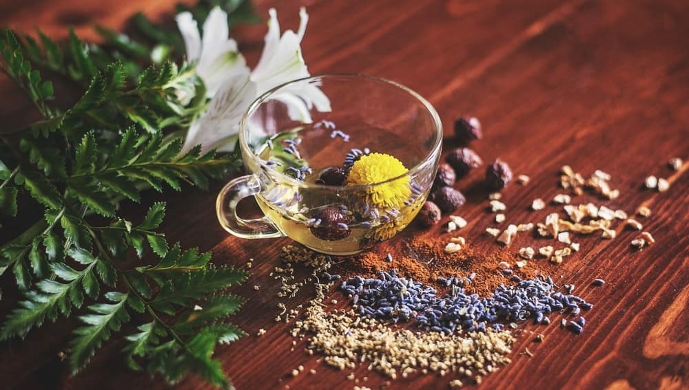 Mullein Tea - Benefits, Uses, and Recipes