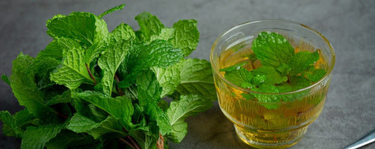 Top 5 Spearmint tea In India