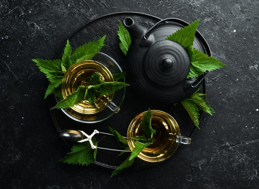 5 Best Stinging Nettle Teas in India