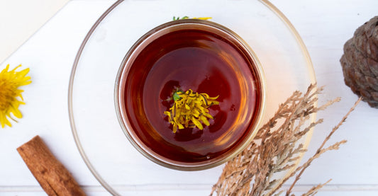 Dandelion Tea – History, Benefits, Recipes, and More!