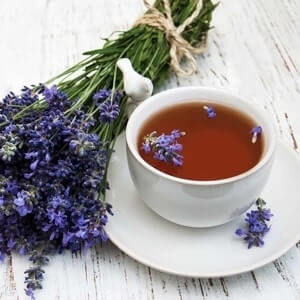Buy Lavender Tea Online at Best Prices on Teacurry.com