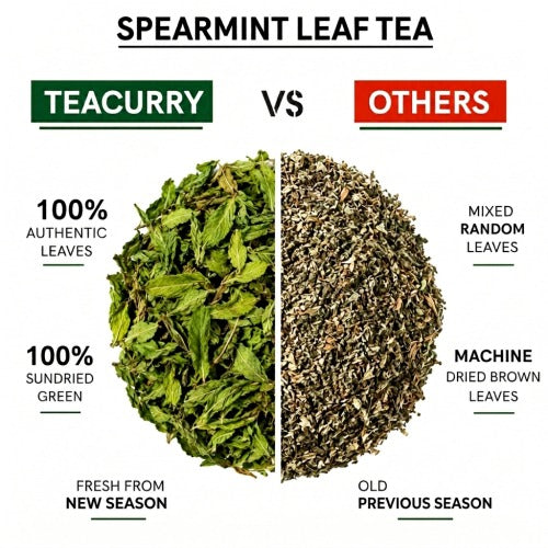 Teacurry vs Others Teacurry Spearmint Leaf Tea