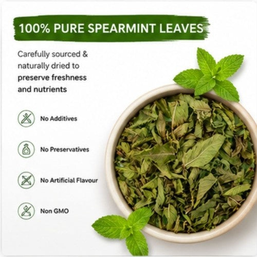 Teacurry Spearmint Leaf Tea 