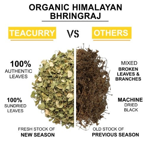 Teacurry Organic Himalayan Bhringraj Leaves Difference