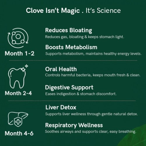 Teacurry Premium Organic Himalayan Clove  Benefits 
