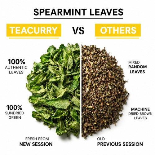 Teacurry Spearmint Leaf Tea vs Other 