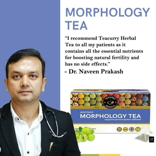 Teacurry Morphology Tea Doctor Recommends