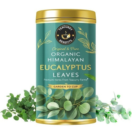 Teacurry Organic Himalayan Eucalyptus Leaves Main Image 