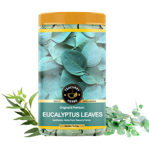 Teacurry -Eucalyptus Leaves - eucalyptus leaves natural