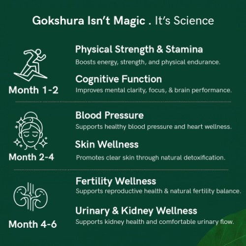 Benefits of Teacurry Organic Himalayan Gokshura 