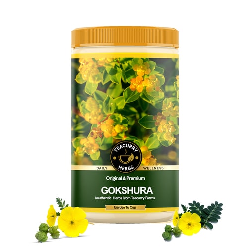 Teacurry Gokshura - benefits of gokhru leaf - ayurvedic gokhru leaves