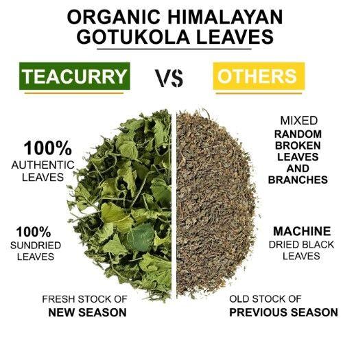Teacurry Organic Himalayan Gotu Kola Leaves Difference 