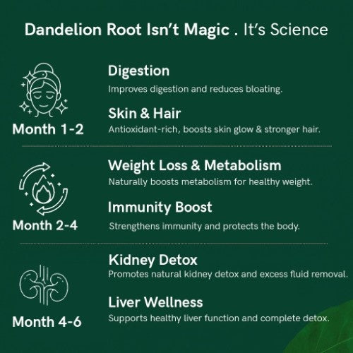 Teacurry Himalayan Dandelion Root Tea Benefits