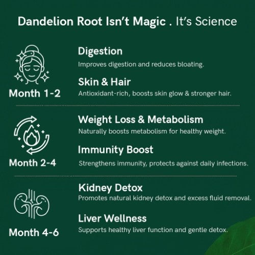 Teacurry Himalayan Dandelion Root Tea Benefits 