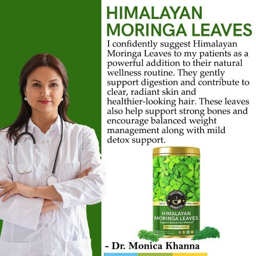 Teacurry Himalayan Moringa Leaves Tea Doctor Recommends