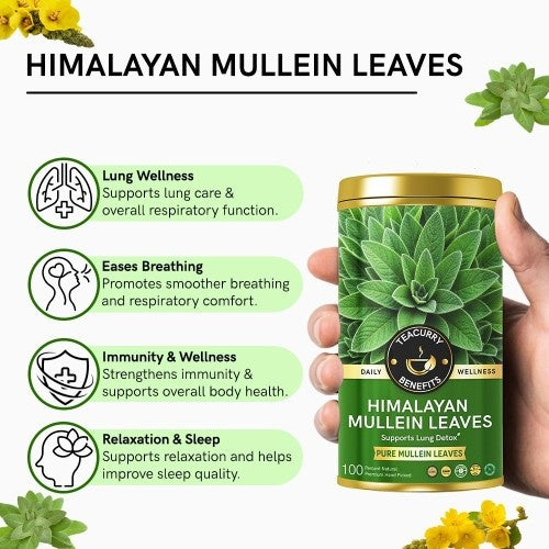 Teacurry Himalayan Mullein Leaves Tea Benefits