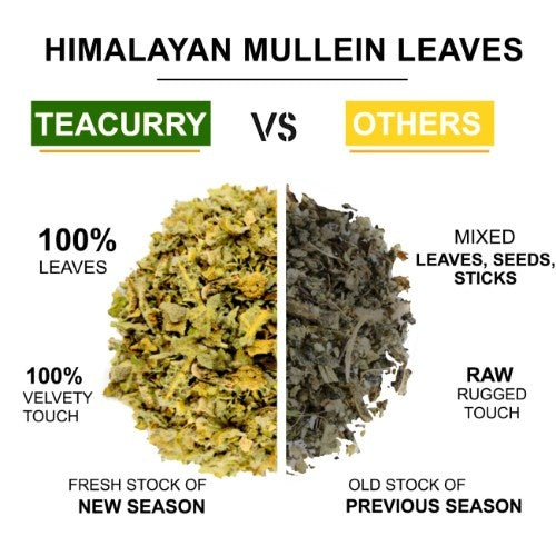 Teacurry Himalayan Mullein Leaves Tea vs Others Difference