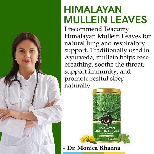 Teacurry Himalayan Mullein Leaves Tea Doctor Recommends