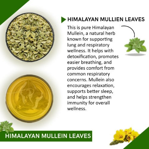 Teacurry Himalayan Mullein Leaves Tea Ingredient