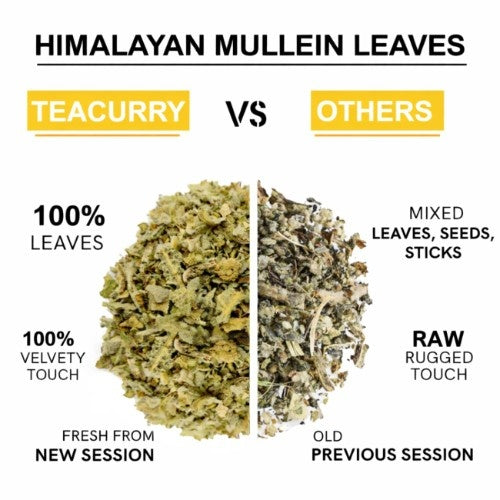 Himalayan Mullein Leaf Tea Difference 