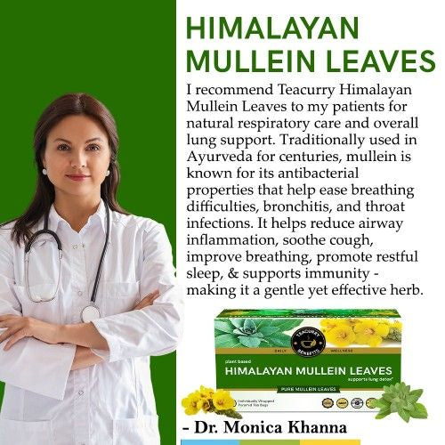 Teacurry Himalayan Mullein Tea Doctor Recommends 