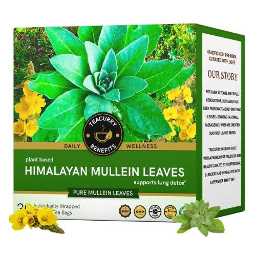 Teacurry Himalayan Mullein Tea 3D Box