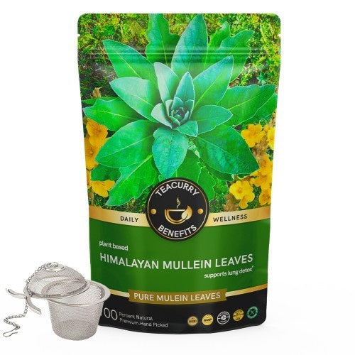 Himalayan Mullein Leaf Tea Pouch + Infuser 