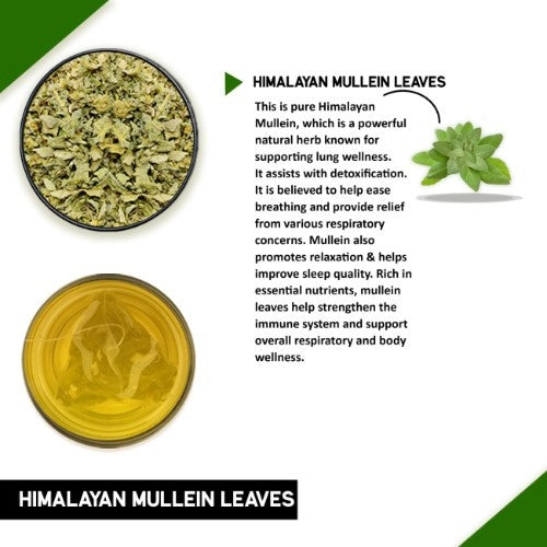 Himalayan Mullein Leaf Tea Ingredients 
