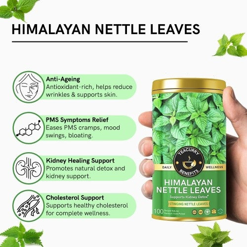 Teacurry Himalayan Nettle Leaves Tea Benefits