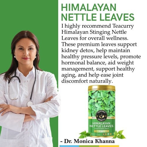 Teacurry Himalayan Nettle Leaves Tea Doctor Recommends