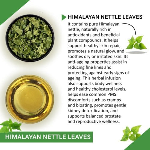 Teacurry Himalayan Nettle Leaves Tea Ingredient