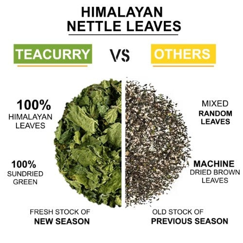 Teacurry Himalayan Nettle Leaves Tea vs Others Difference