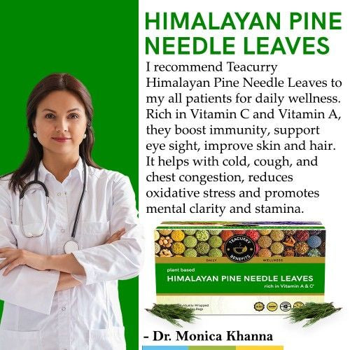 Teacurry Himalayan Pine Needle Tea Doctor Recommends 