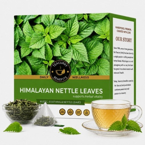 Himalayan Stinging Nettle Tea Main Image 