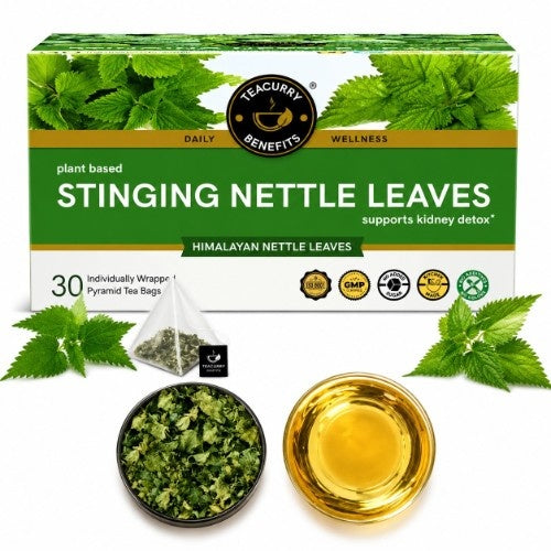 Teacurry HImalayan Stinging Nettle Tea Box