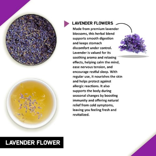 benefits of lavender flower tea Buy Lavender Tea for Anxiety, Depression, Pain Reliever And Improve Sleep