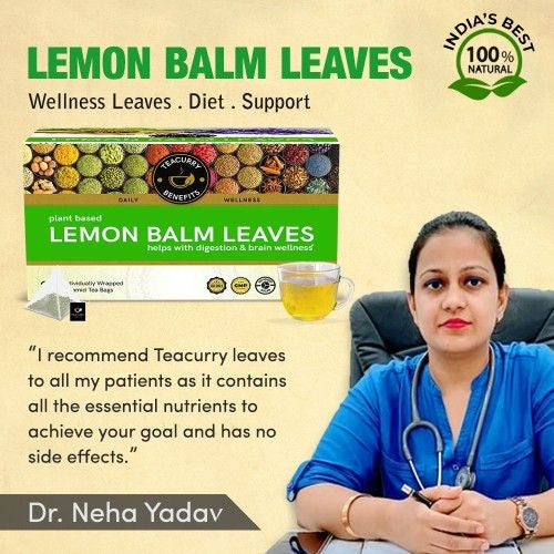 Teacurry Lemon Balm Tea Doctor Recommends