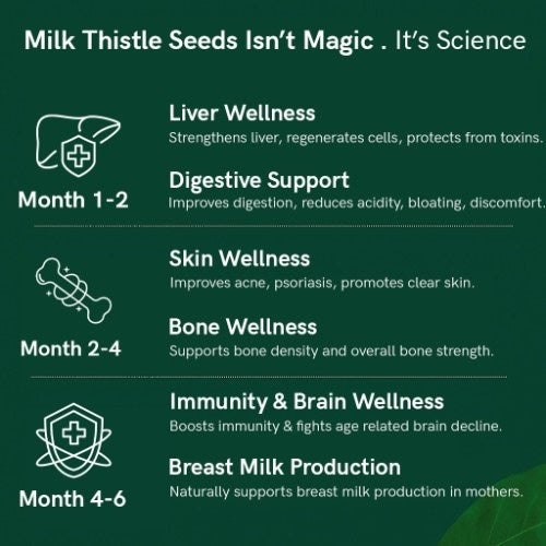 Teacurry Organic Himalayan Milk Thistle Seeds Benefits 