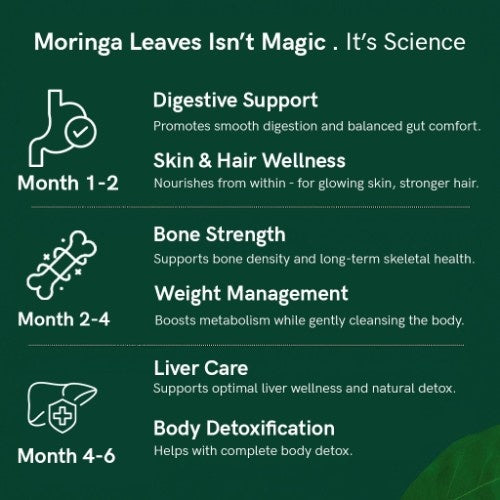 Teacurry Himalayan Moringa Leaves Tea Benefits