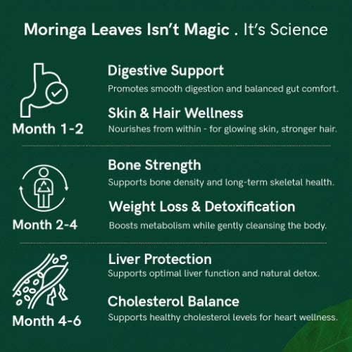 Teacurry Himalayan Moringa Leaf Tea Benefits 