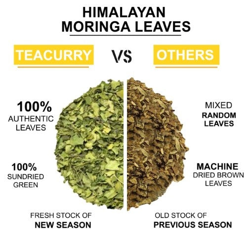 Teacurry Himalayan Moringa Leaf Tea Difference  