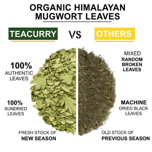 Teacurry Organic Himalayan Mugwort Leaves vs Other 